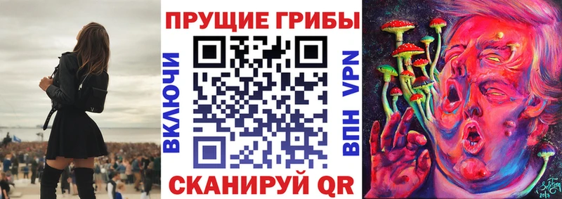 Псилоцибиновые грибы прущие грибы  Купить закладки  Туринск